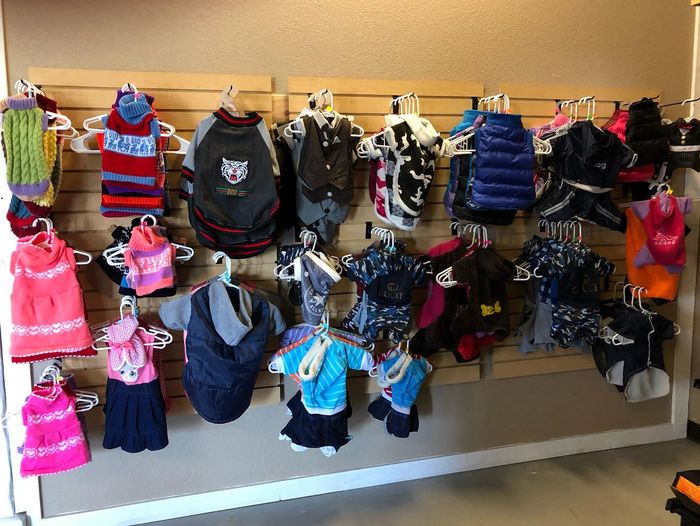 A wall of dog coats, sweaters and hoodies in bright colors hanging in the shop
