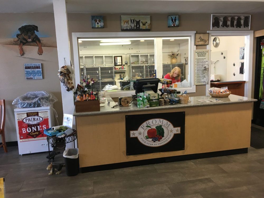 The front counter, with a window looking into the grooming room behind it