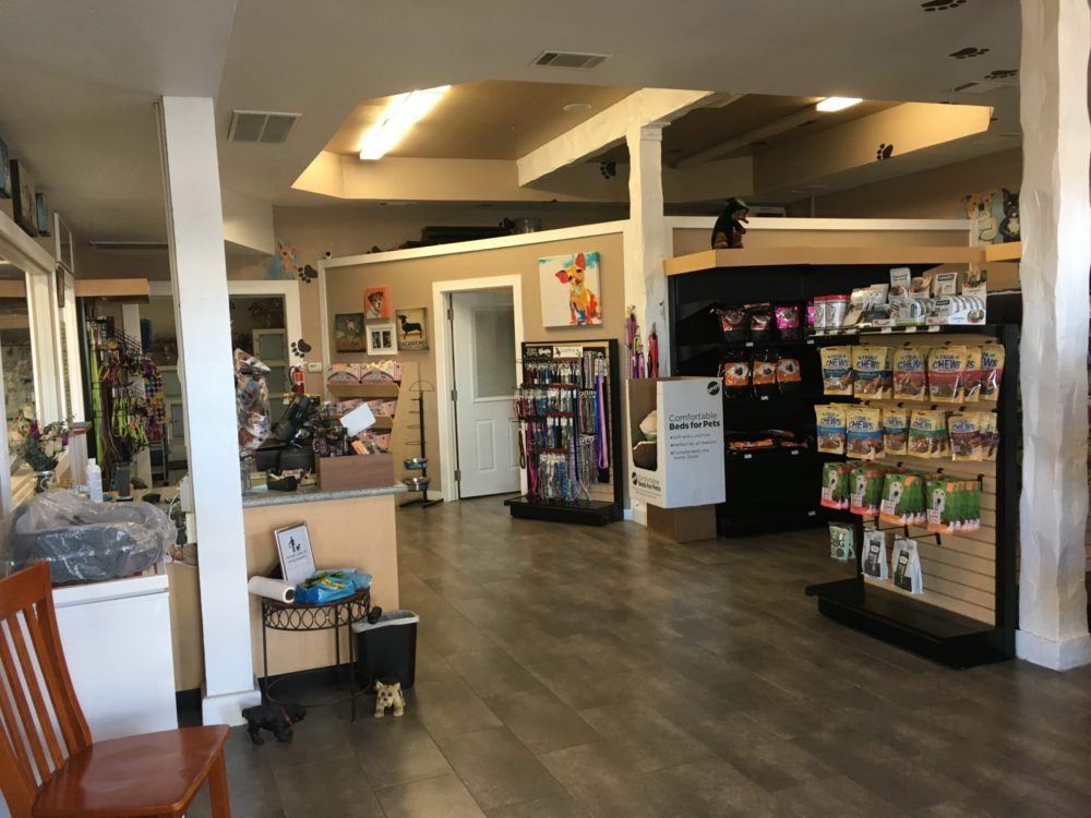 The bright shop floor with food shelves, leashes and a seating area