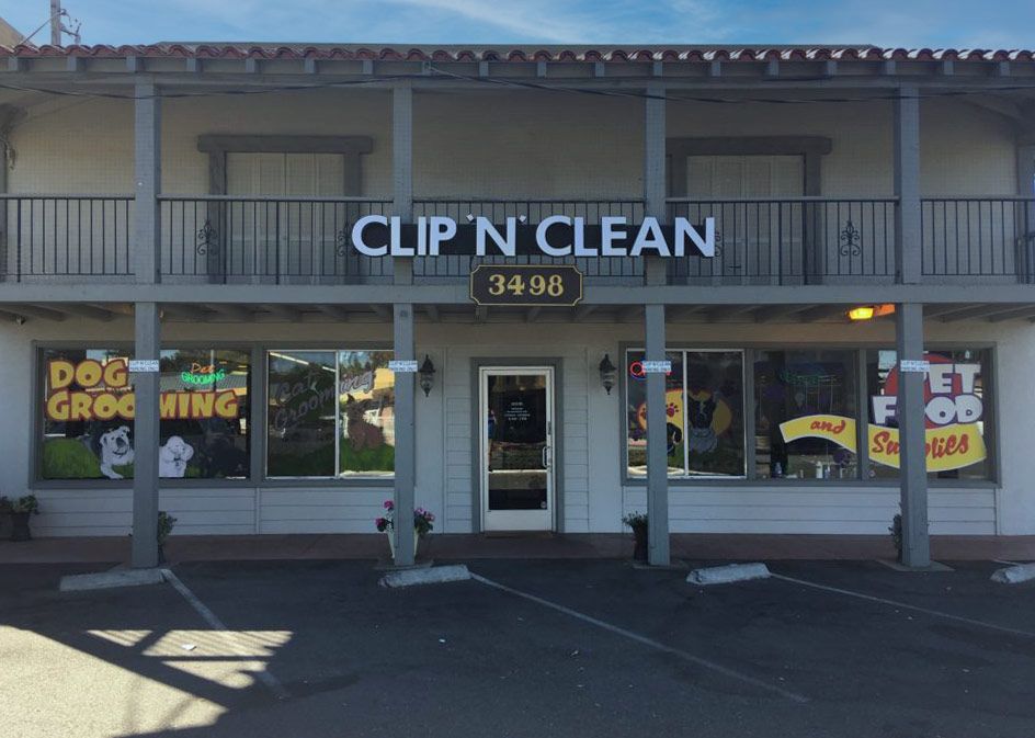 The Clip ’N’ Clean storefront at 3498 Clayton Road, with dog grooming and pet food signs painted on the windows